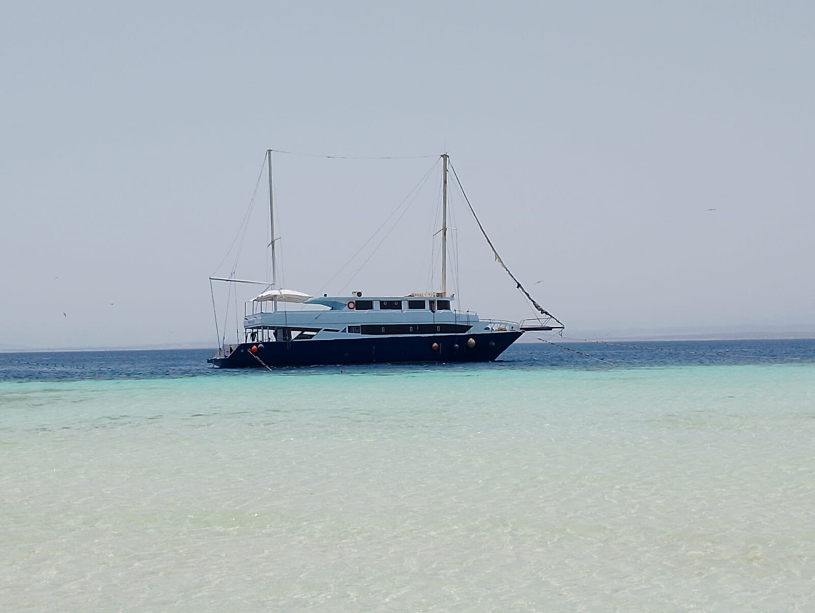 SY Mermaid at anchor off a Red Sea sandbank, 2026